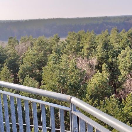 Waldhaus Hilde Villa Suderburg Dış mekan fotoğraf